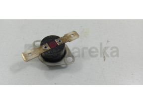 Thermostat 40001954