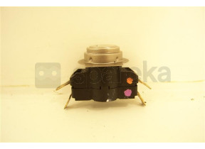 Thermostat 50204349000